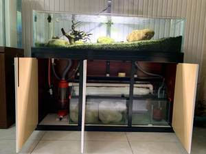 超白缸生態草缸 最新價格與選購指南